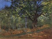 Claude Monet The Bodmer Oak,Forest of Fontainebleau oil painting reproduction